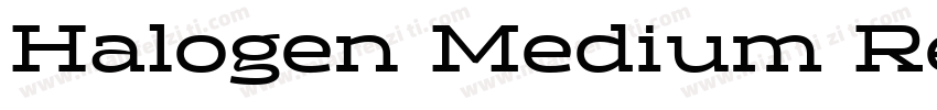 Halogen Medium Regu字体转换